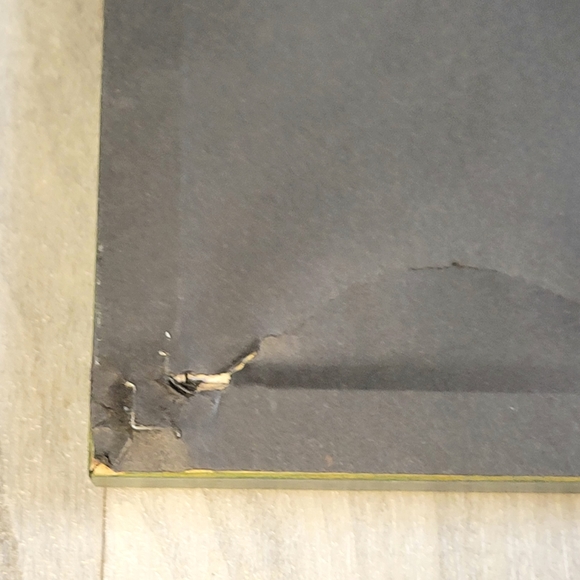 P Buckley Moss Mirror Mirror on the Wall Signed Print of Girl - Picture 11 of 11